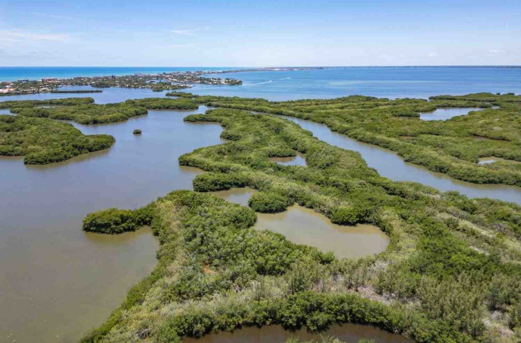 Aerial view of the Thousand Islands Conservation Area in the Indian River Lagoon.