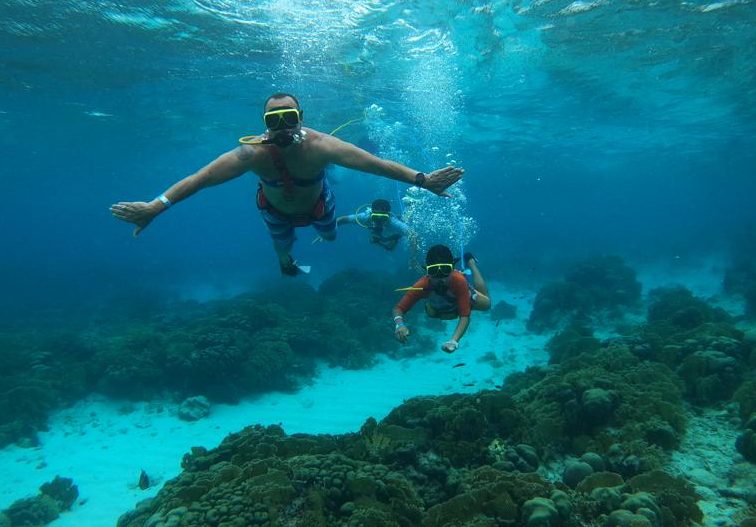A group of three snorkelers swim over coral reefs in clear blue water.